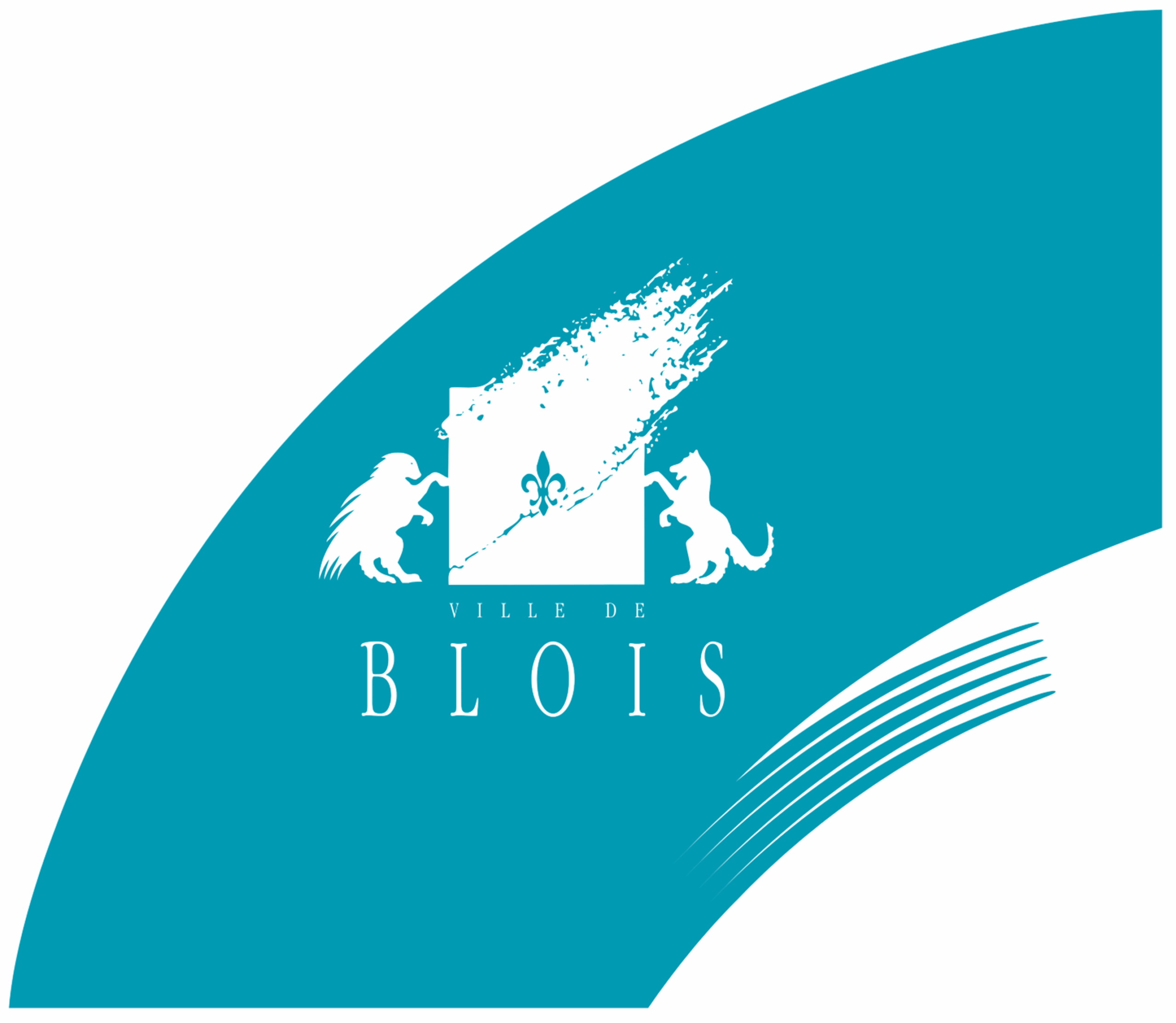 ville-de-blois